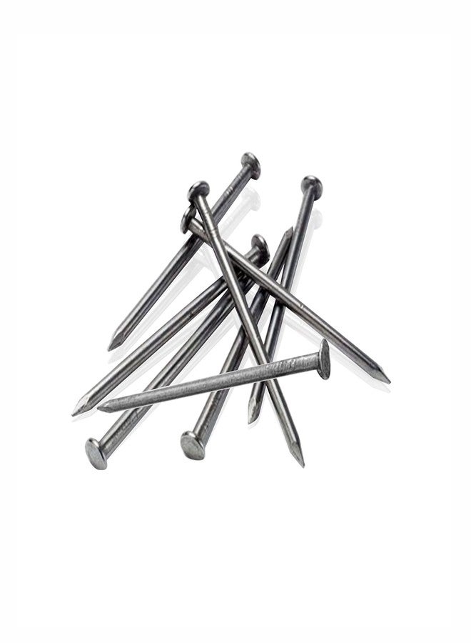 LandSlide Hard Steel Concrete Nails 3 inch (75 mm) Pack of 20 Pieces - Image 1